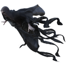 Draco Wings & Ribs en Monterrey | Sabor y Magia Única